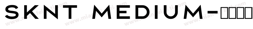 SKNT Medium字体转换